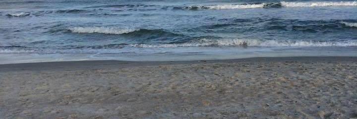 Kaykaylie00's profile banner image