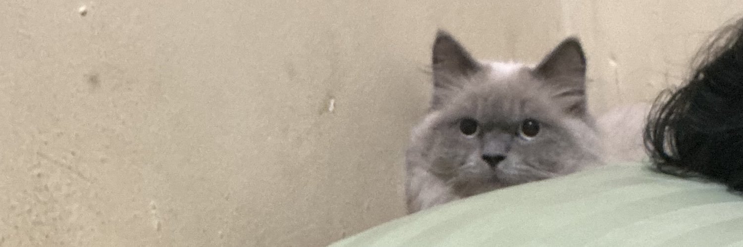 kucingberdebuuu's profile banner image