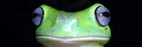 Julio_Rodolfo1's profile banner image