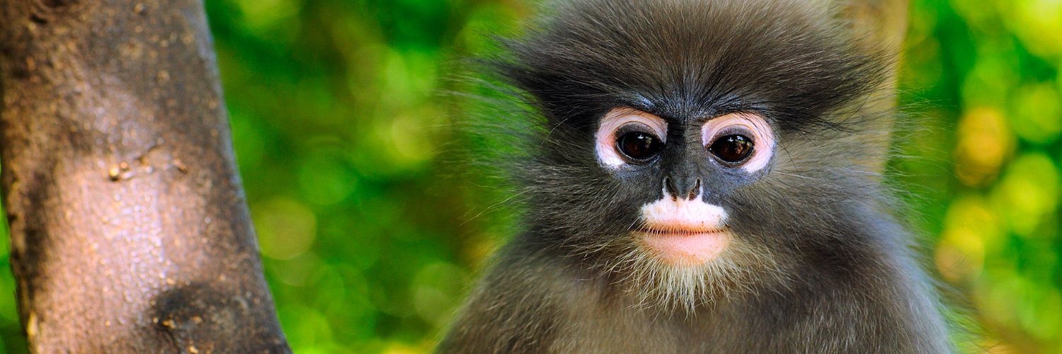 Wasaaa $BUBBLE banner