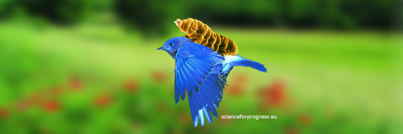 SfPRocur's profile banner image