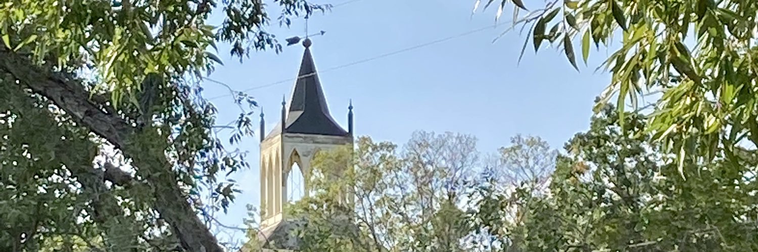 Viking banner