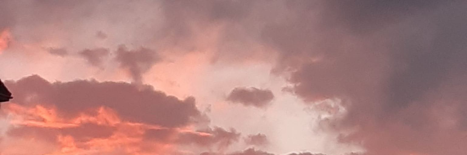Rato__95's profile banner image