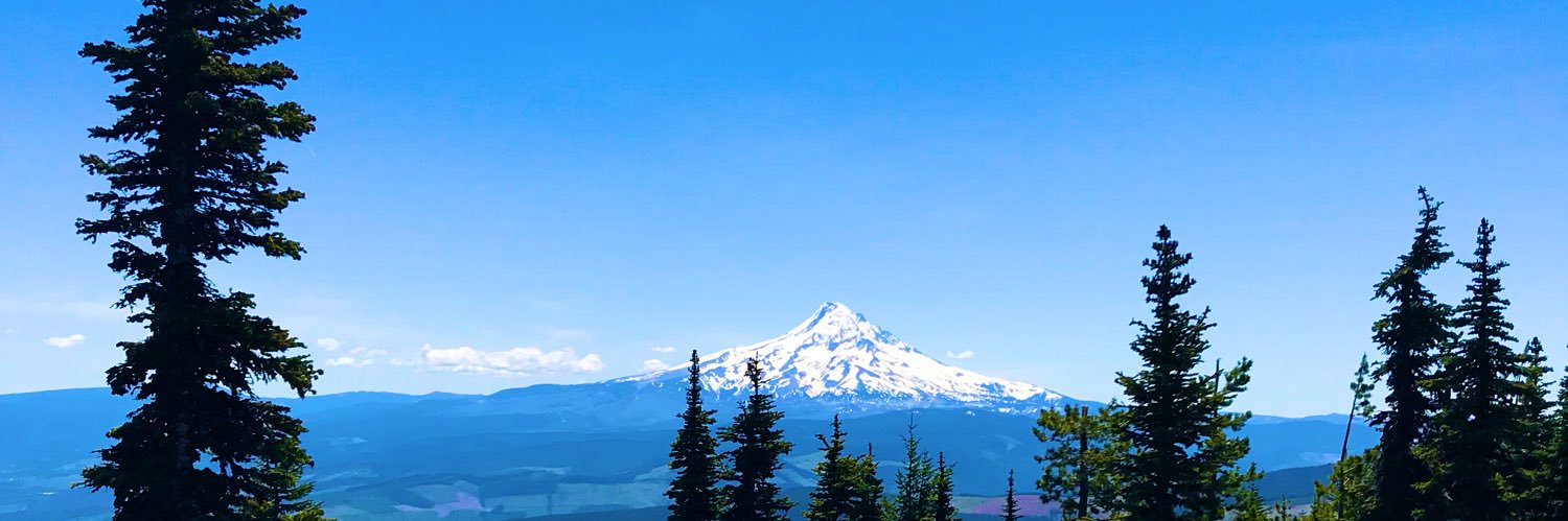 Brie Tripp (she/her) banner