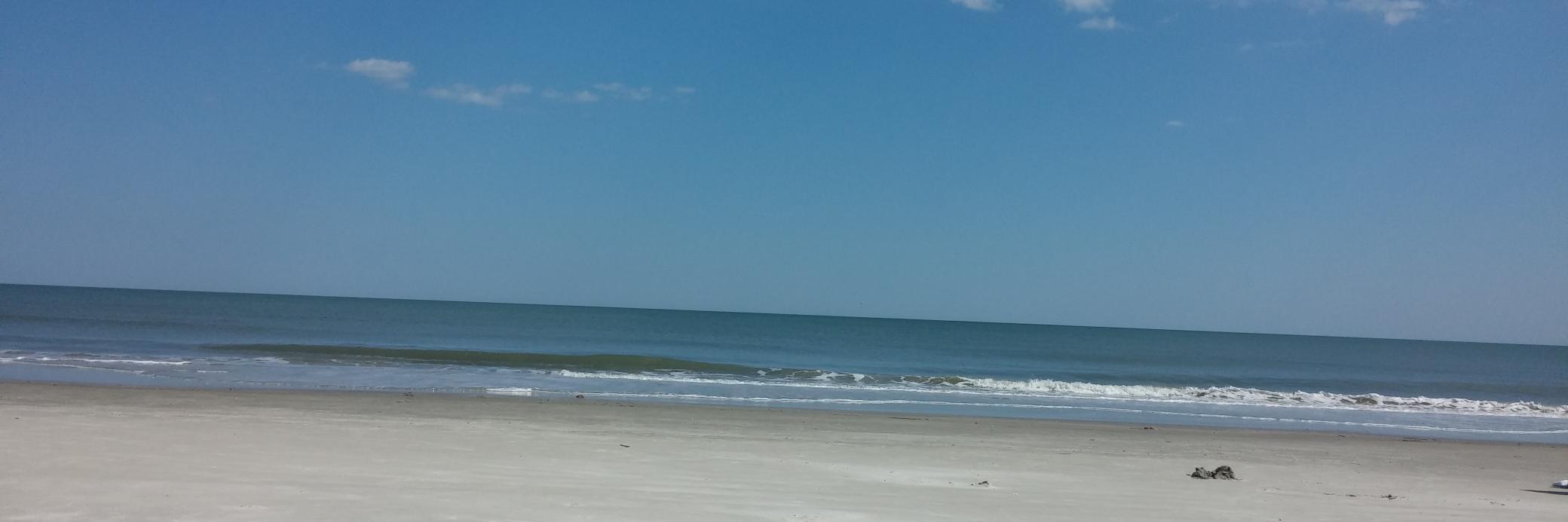 Ana Maria Peterson banner