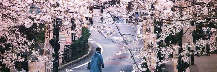 kaewyaikaew's profile banner image