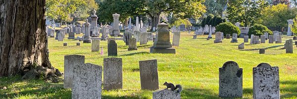 kemiri Profile Banner