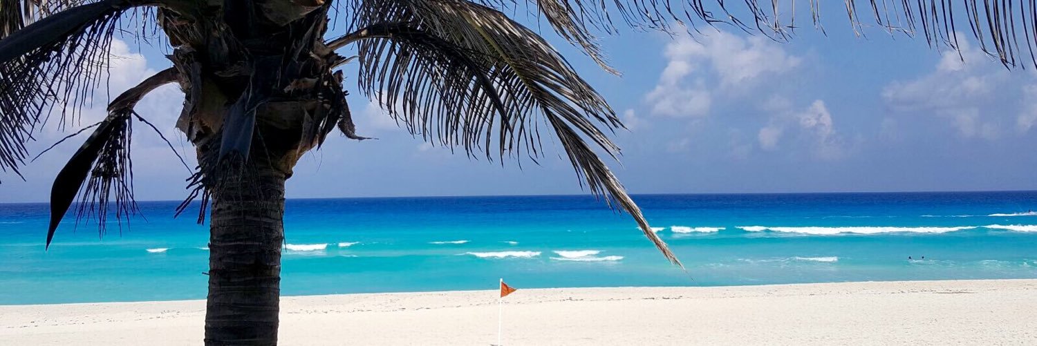 Barbidonehoo's profile banner image