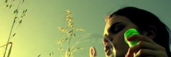 Alicerte Profile Banner