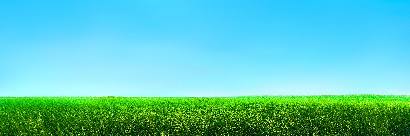 jackb09's profile banner image