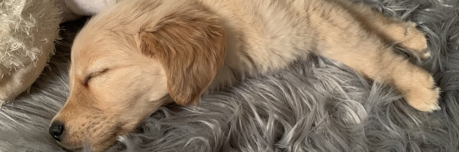ImNotHip's profile banner image