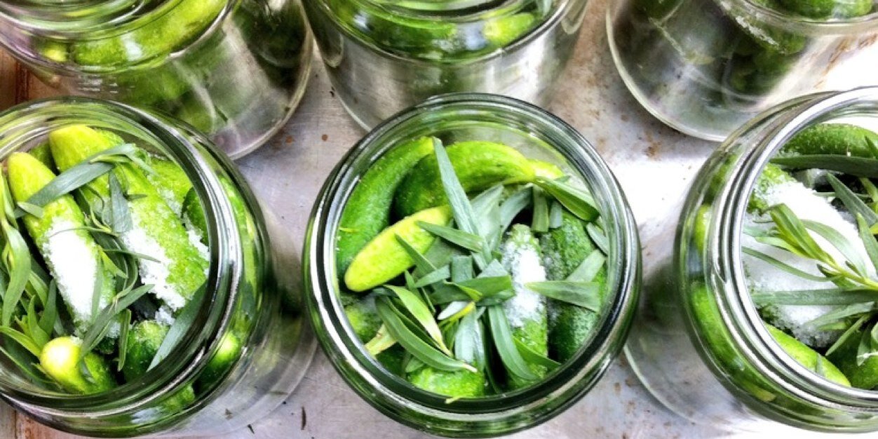 UncommonPickle's profile banner image