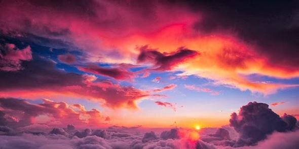 Tumblr. banner