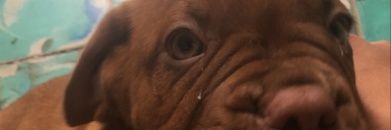renecantu99's profile banner image