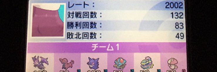 総統's banner
