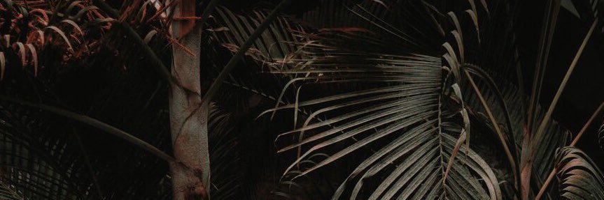 Matteo banner