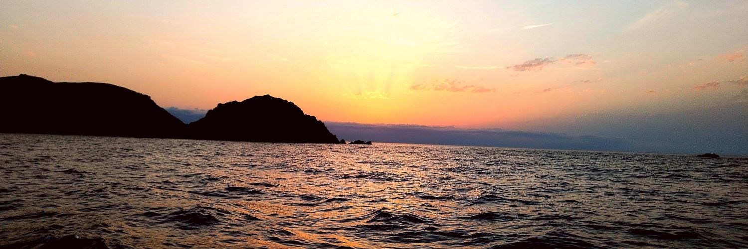 loustau cédric banner