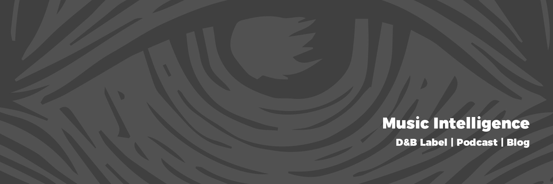 MusicIntell's profile banner image