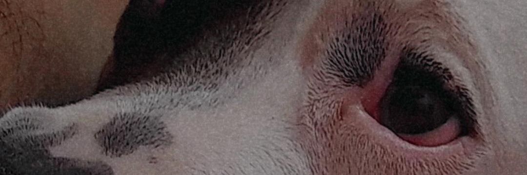 ismaj1030's profile banner image