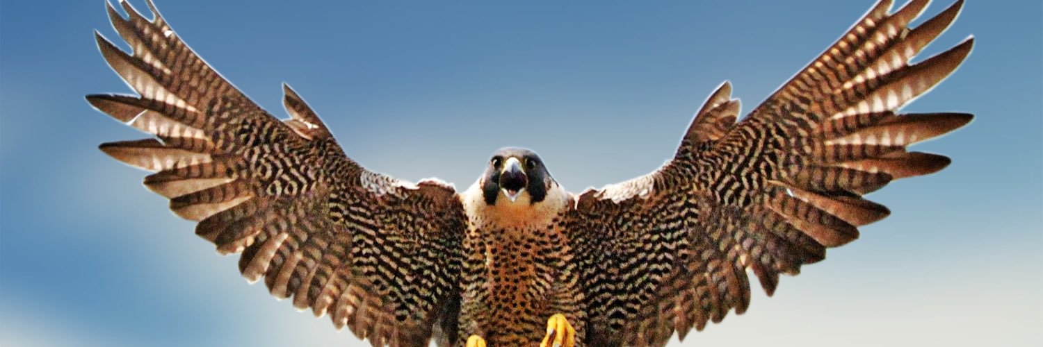 mohd_AE's profile banner image