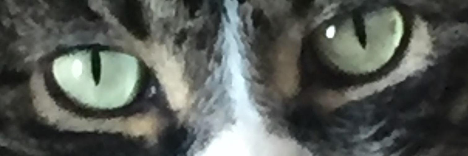 french_frank's profile banner image