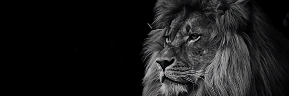 lippin07's profile banner image