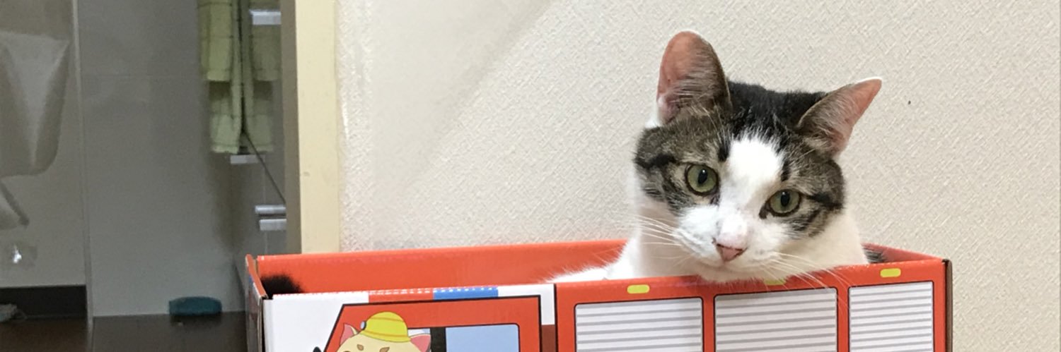 NyaSharl's profile banner image