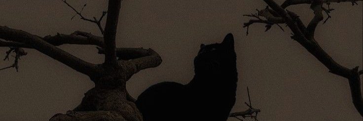 baphometbrew's profile banner image