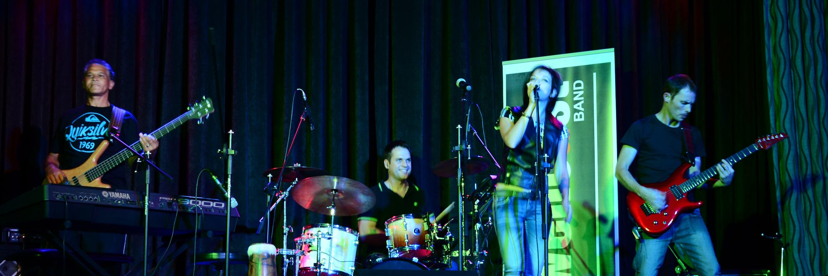 wellcastband's profile banner image