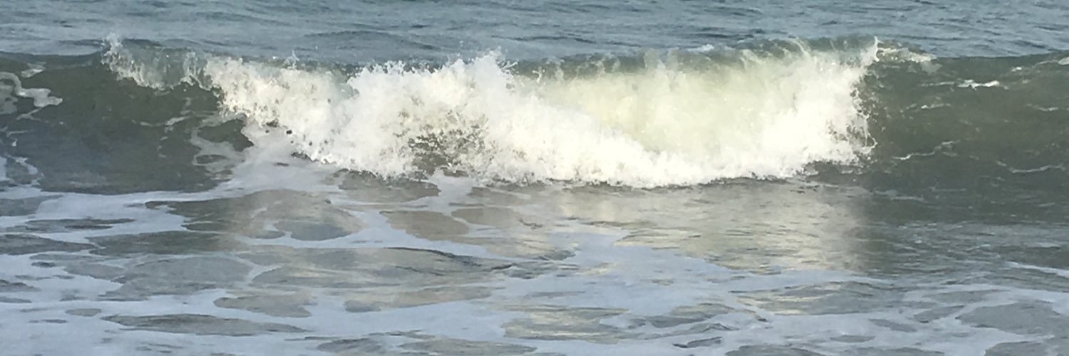 Mandilynn10's profile banner image
