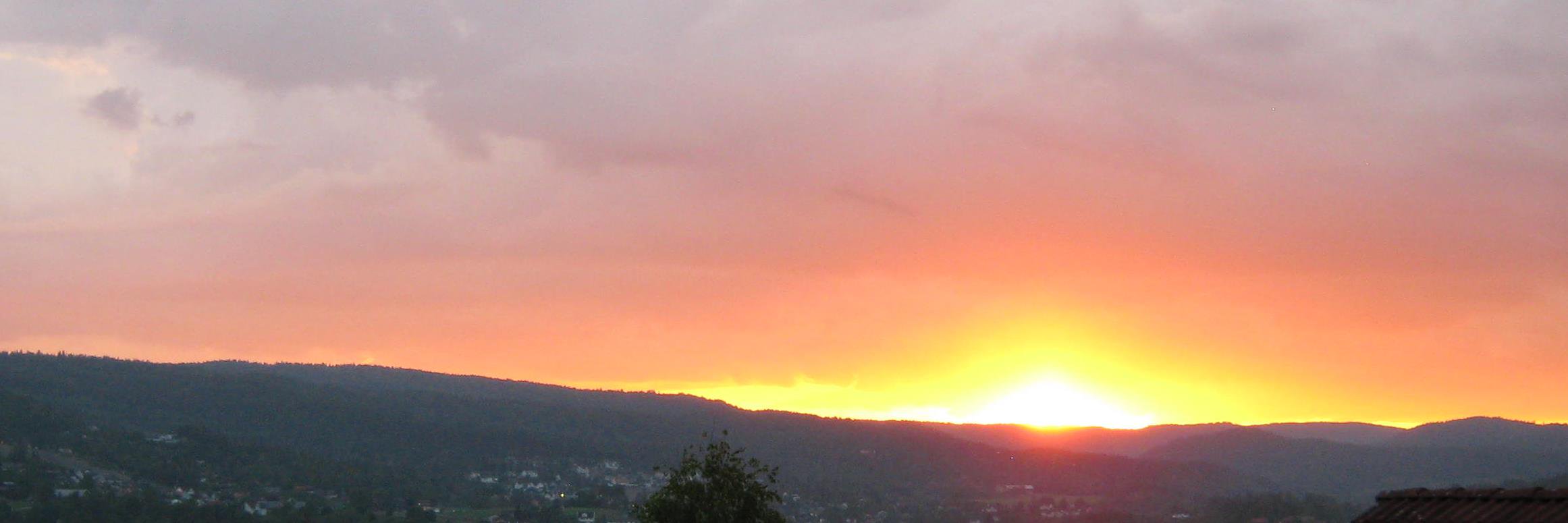 Bellevuchi's profile banner image