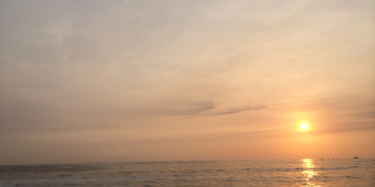 rcastellarest's profile banner image