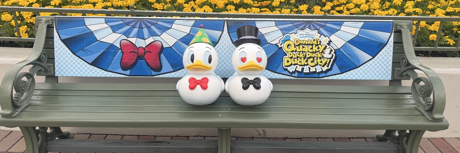 amnosaks's profile banner image