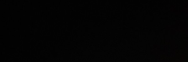 BeesSupporters Profile Banner