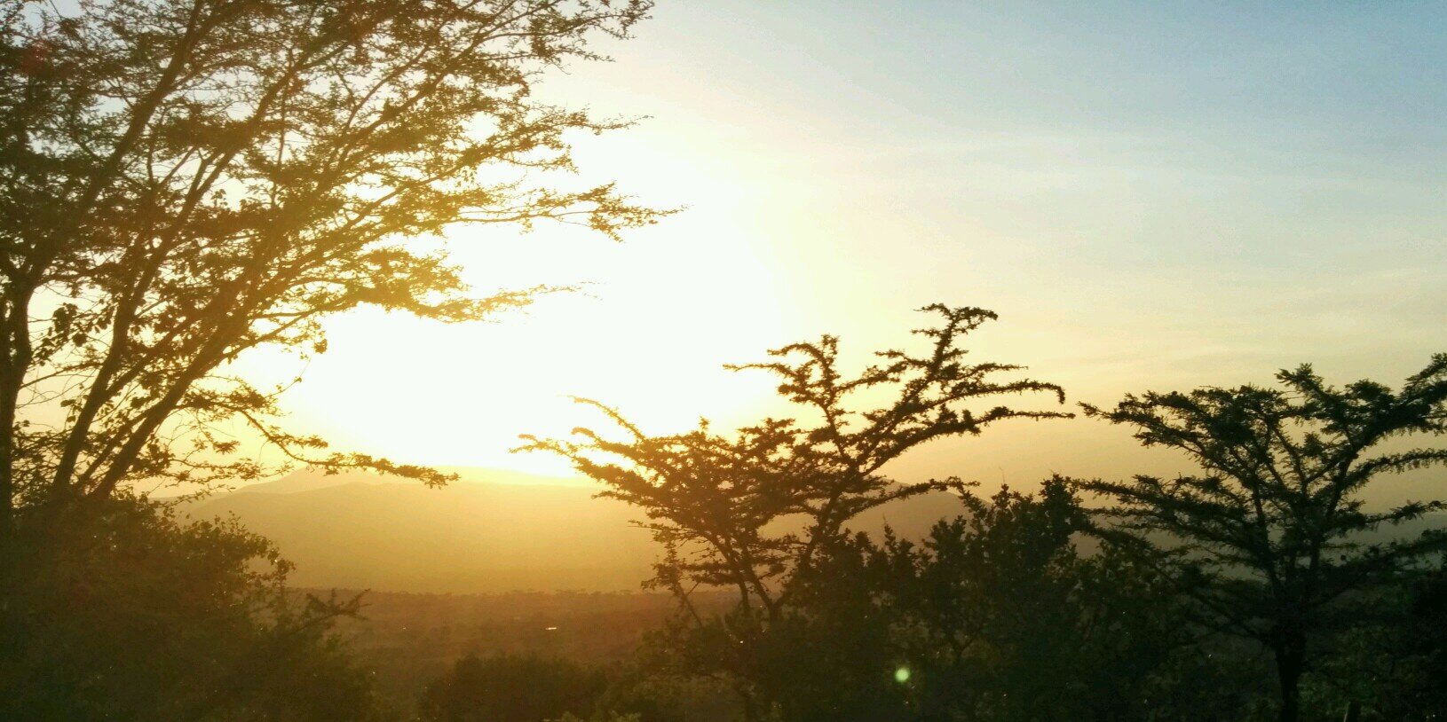 Louis Wajeiya, OGW banner