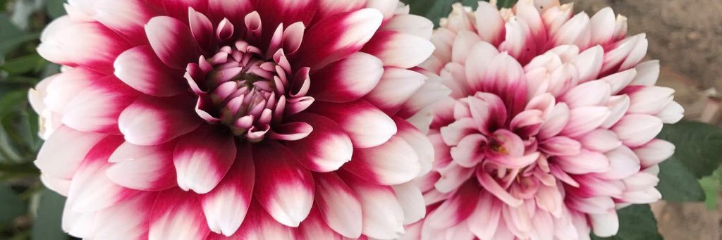 _stepher_'s profile banner image