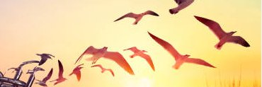 zablouf's profile banner image