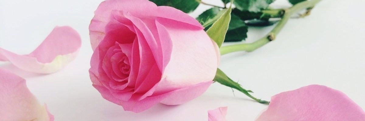 jaybeecarey's profile banner image