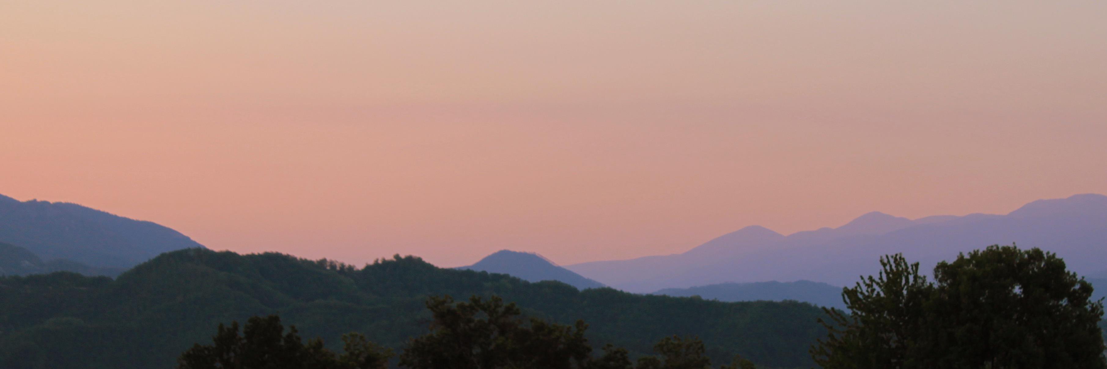BitteLea's profile banner image