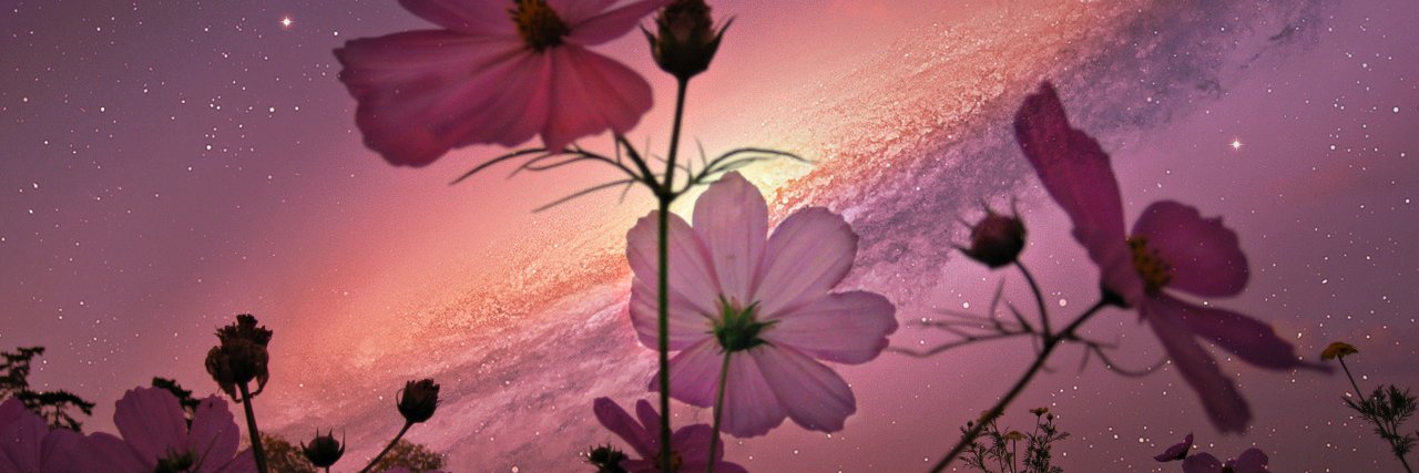 arwiljoyce's profile banner image