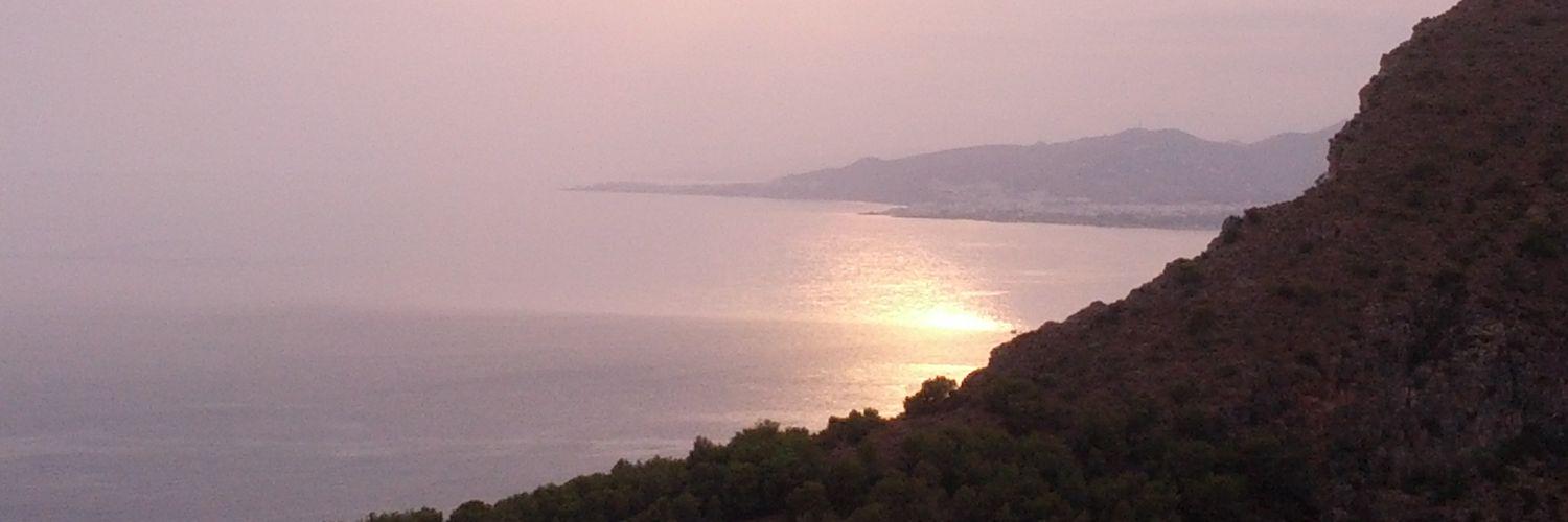 M Del Rosario Moleón banner