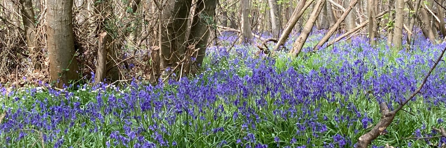 Dr Kerry Jordan-Daus SFHEA, FFCT banner