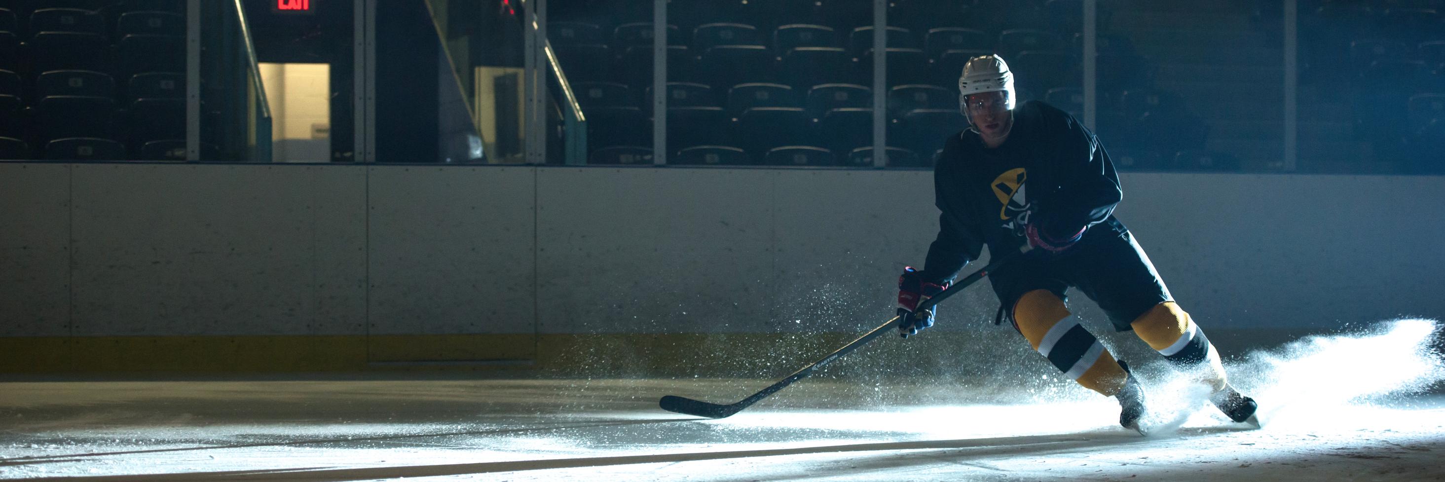 Victus Academy banner