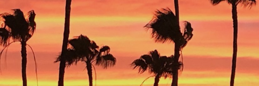 Sarah_Auger's profile banner image