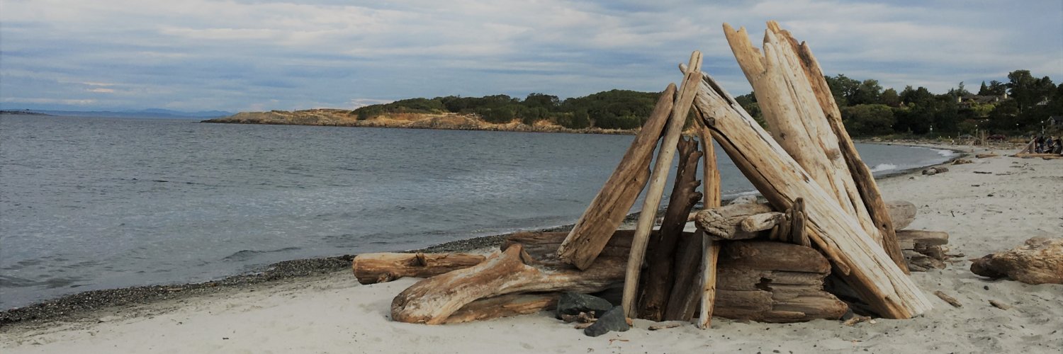 Elizabeth Collis banner