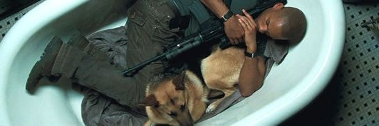 Michael Yousry banner