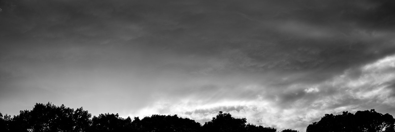 Pedroeol's profile banner image