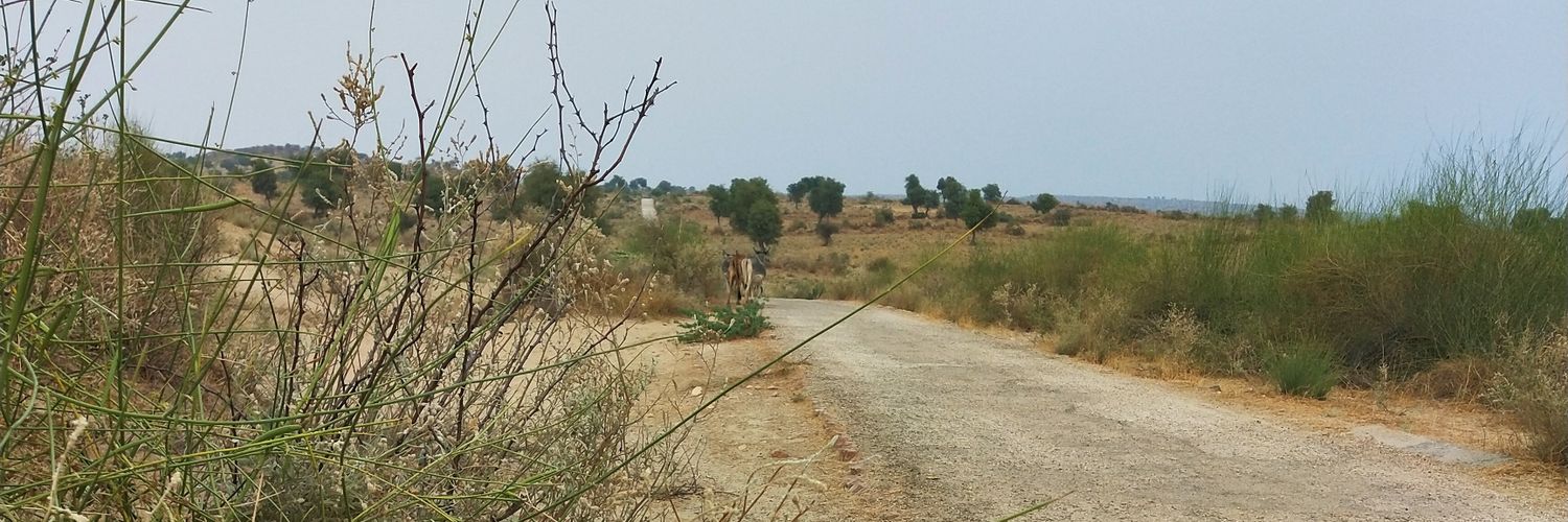 Khadim H. Changezi banner