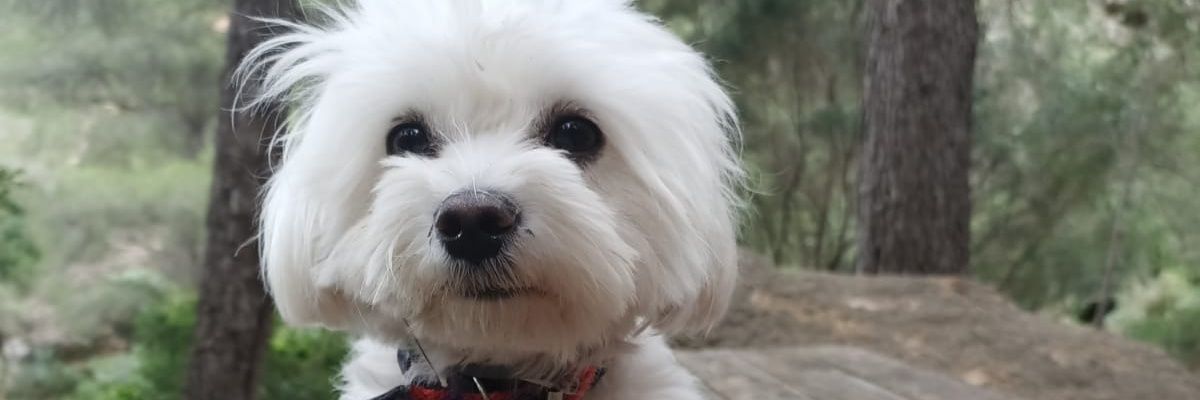 _franbg21_'s profile banner image