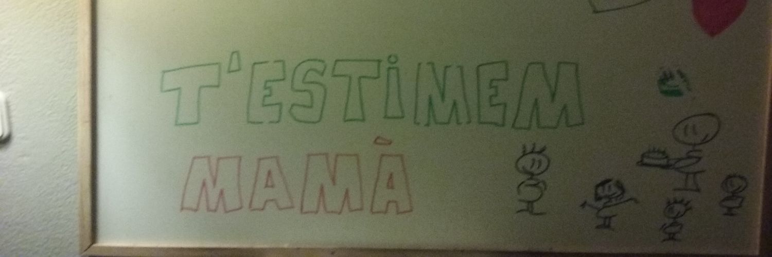 llopisanna's profile banner image